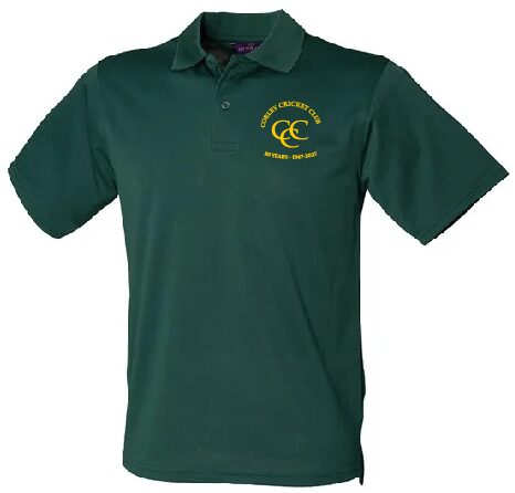 Anniversary Polo - HB475